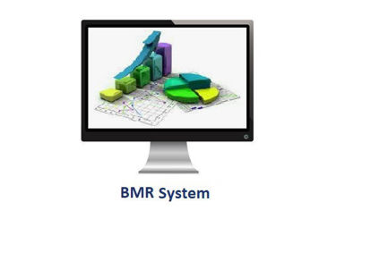 Εικόνα της BMR System