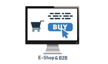 E-Shop & B2B systems
